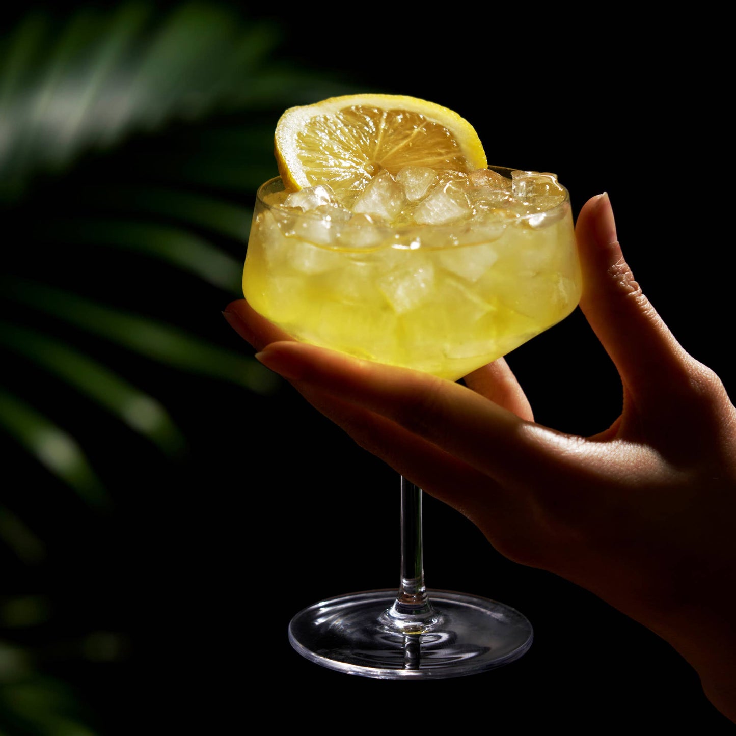 Raye™ Angled Crystal Coupe Glasses - Viski -Set of 2