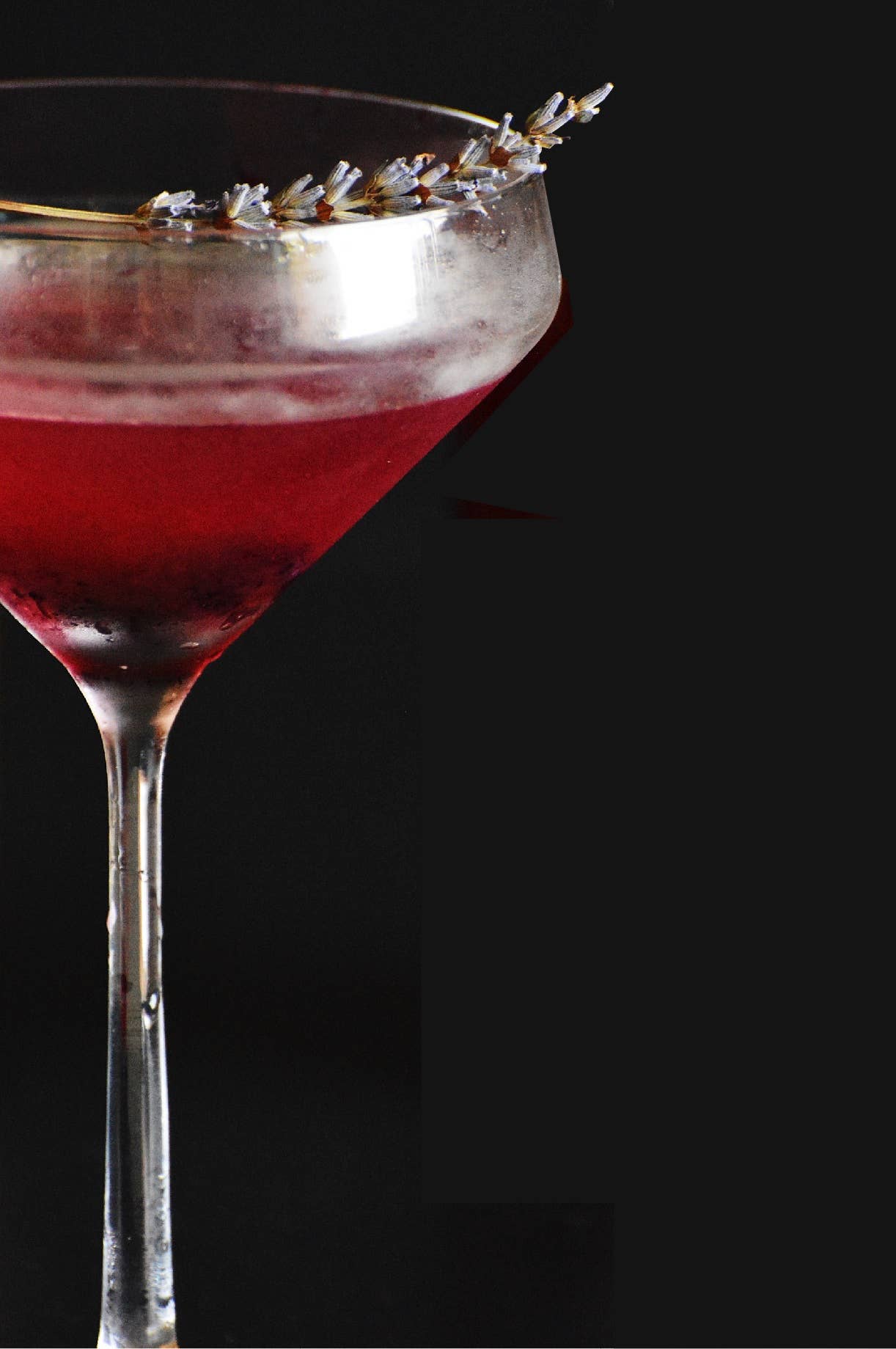 Cocktail Blueberries - Cellar Door Preserves